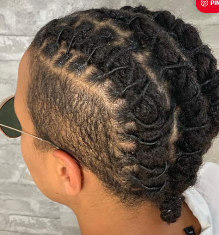 Braided Faux Locs