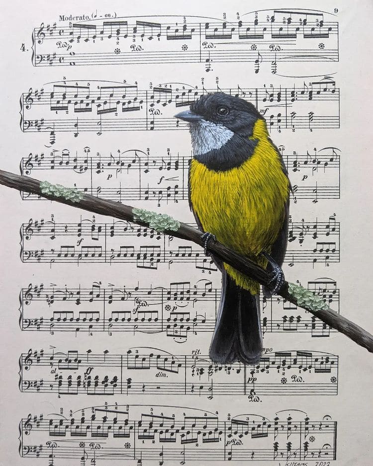 Acrylic Bird Paintings by Craig Williams