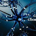 What Is Coordination And Control?
