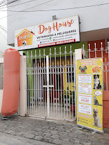 Doghouse Ecuador