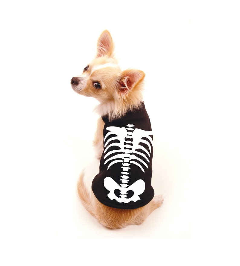 Dog in a skeleton Halloween tshirt