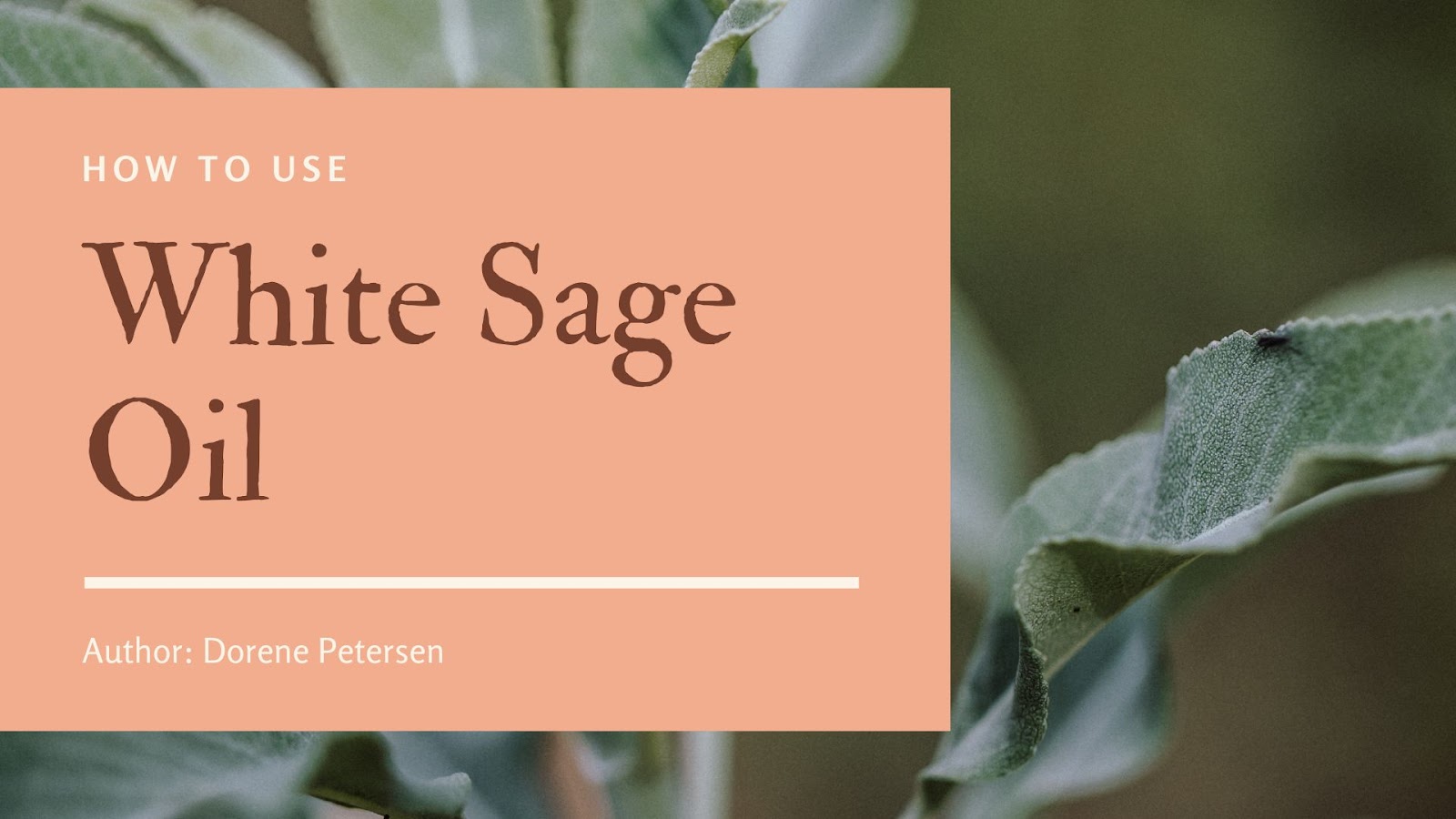 How to use White Sage Oil