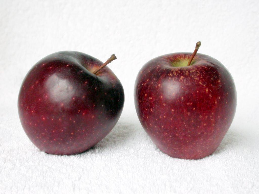 https://upload.wikimedia.org/wikipedia/commons/5/5a/Red_delicious_red_chief_apple.JPG