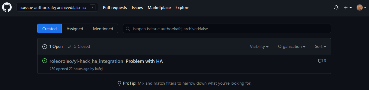User view of the Issues tool in GitHub