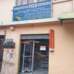 Transportes Pico Express