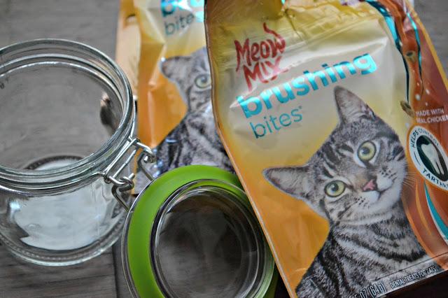 Create the Perfect Cat Treat Jar, DIY cat treat jar, cat treat jar, easy cat treat jar, cat treat container