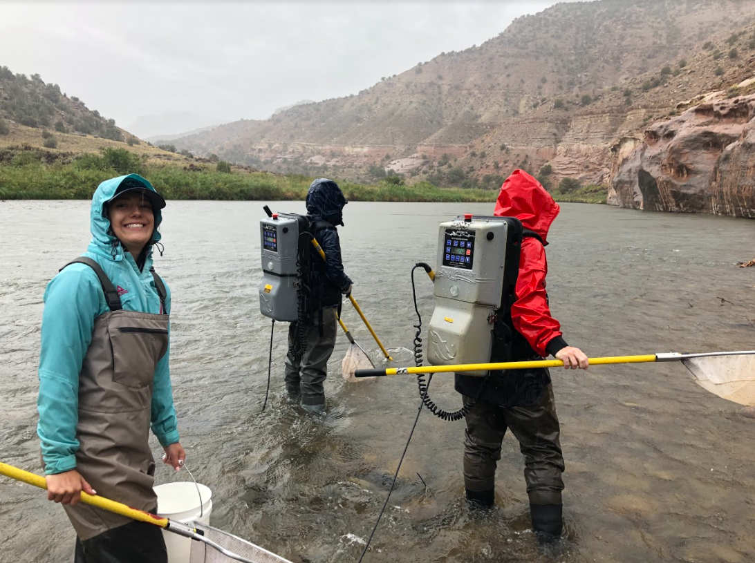 A young woman in a blue coat and gray waders smiles widely as she walks through a large river with a yellow net. She is accompanying two staff members with large gray electrofishing backpacks.