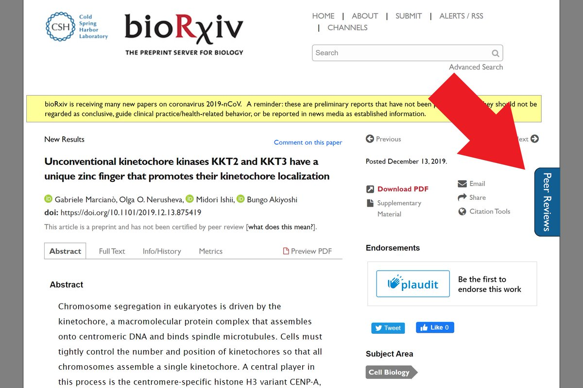 Screengrab of bioRxiv showing where to click to view peer reviews with TRiP