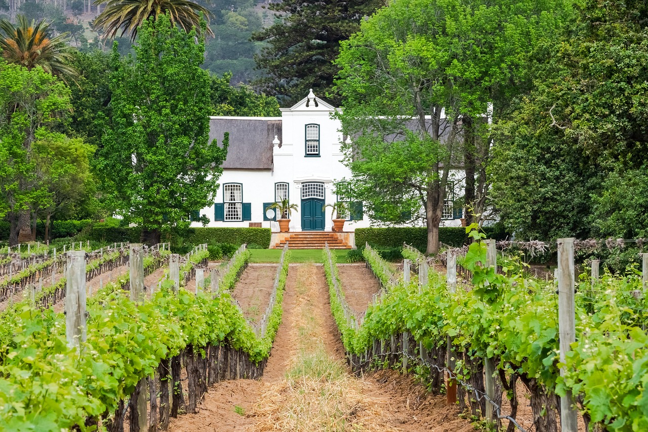 Kaapstad wijngebied