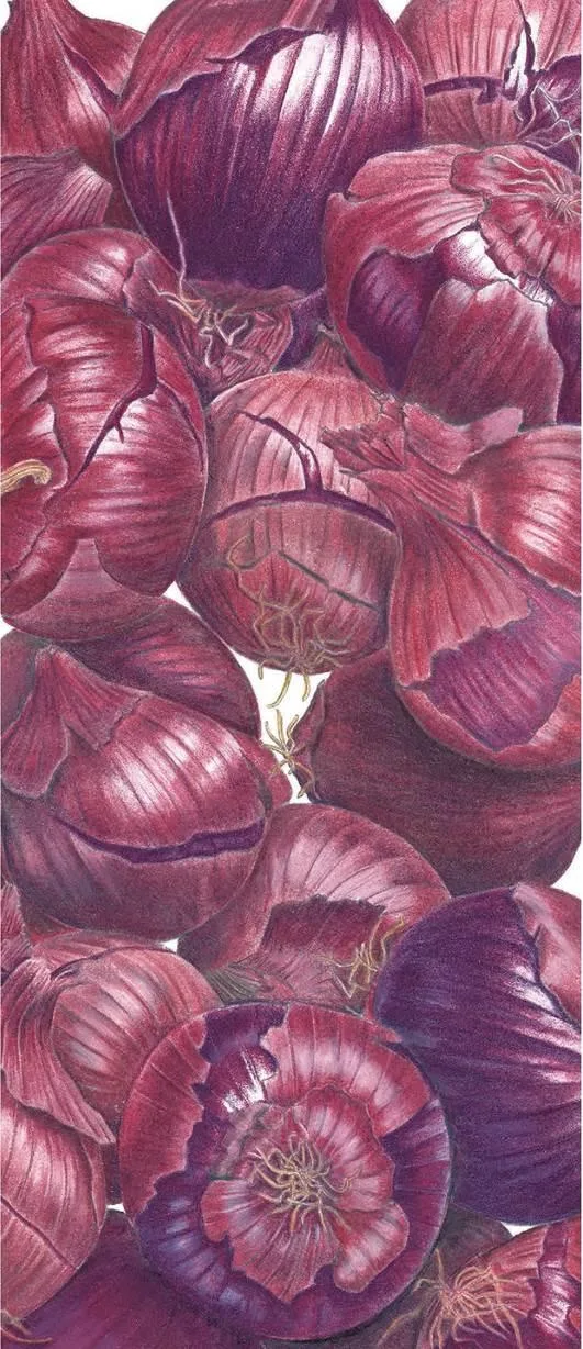 D:\0 wd yedek\acr yedek\1 film indirme\botanicheskaya_illyustraciya2_files\image146.jpg