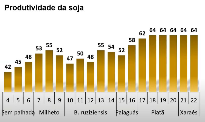 Gráfico, Gráfico de barras, Gráfico de cascata

Descrição gerada automaticamente