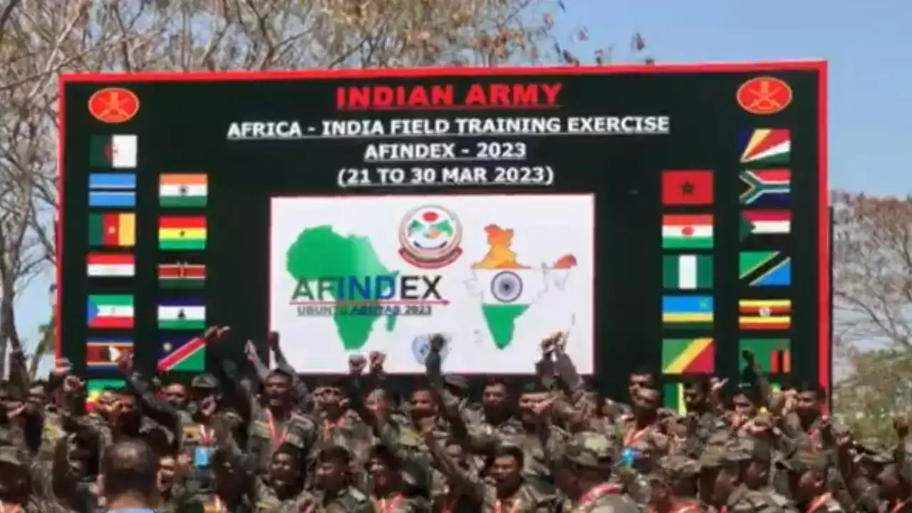 Areas of Partnership between India-Africa