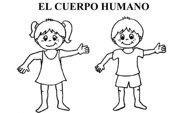 Resultado de imagen para cuerpo humano para niños