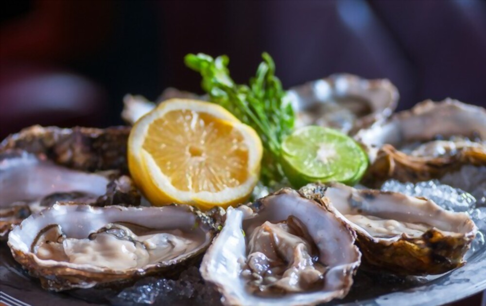 Oysters Lectin Free