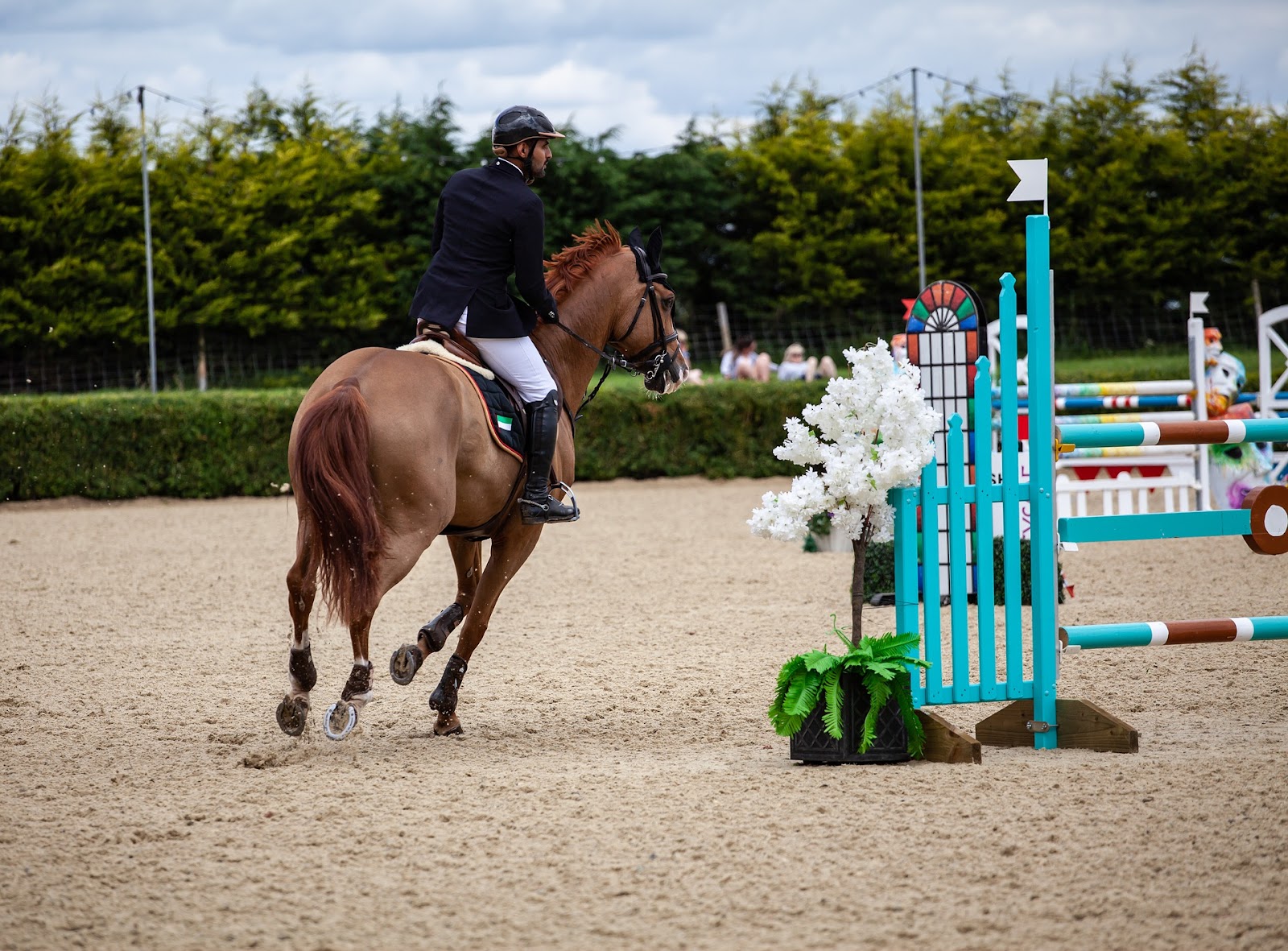 An international show jumper on a chestnut horse looks ahead to the next jump