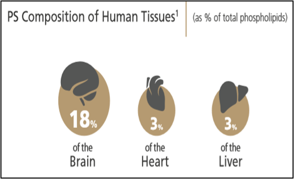 Optimal Health - Optimal Health - Health Is True Wealth.