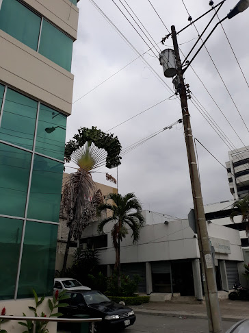 Seguros Constitución