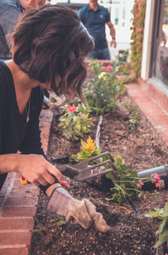 woman with gloves planting plants in soil working with landscape design company