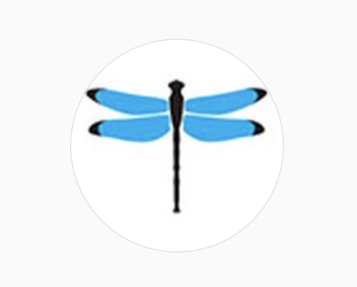 Dragonfly Digital Marketing