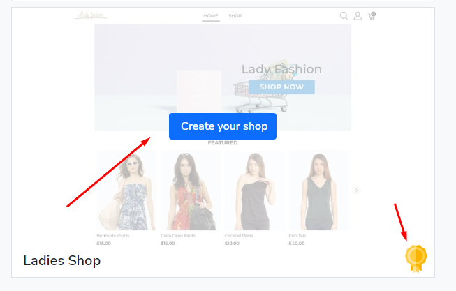 Start an Online Clothing Store