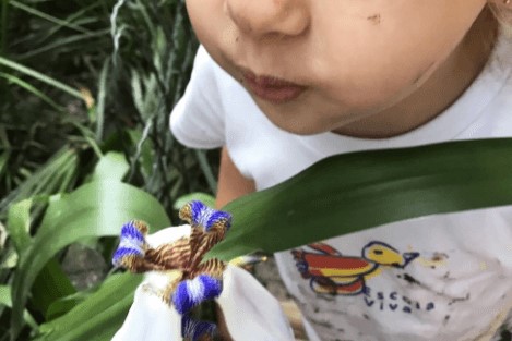A imagem mostra parte do rosco de uma criança assoprando uma flor azul e branca.