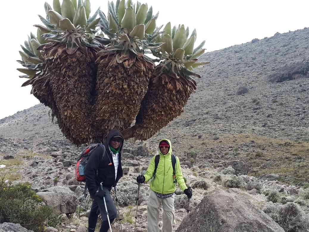 C:\Users\Dominic\Documents\DRM\Family Pics\Mt. Kili Climbing\20160222_155623.jpg