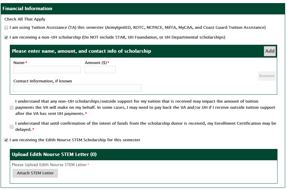 Screenshot of Ch 33 Financial Information Section. 