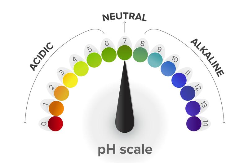 Quick and Dirty Guide to Acid Base Balance | MedicTests