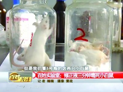 Rats in glass container 2, where white-out is added, die within three minutes. (Via Yangtze Evening Post)
