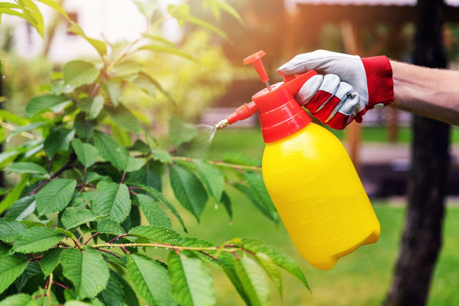 Using Grazon Around Trees
