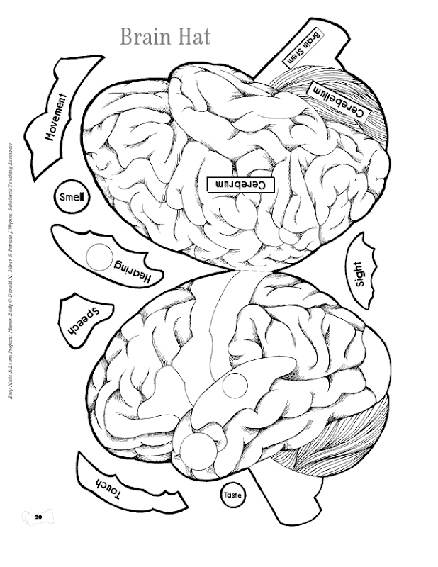 Brain hat.pdf