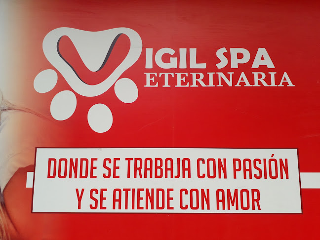 Manzana J Lote 7, Av Beta, Los Olivos 15302, Perú