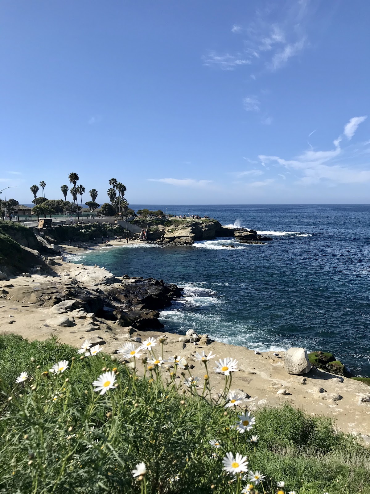 la jolla