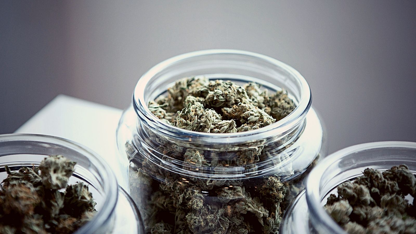 Cannabis displayed in jars in a dispensary.