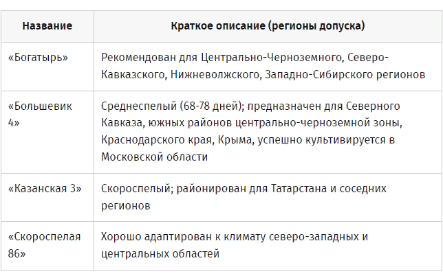 Гречиха как сидерат: правила посадки и ухода, особенности уборки