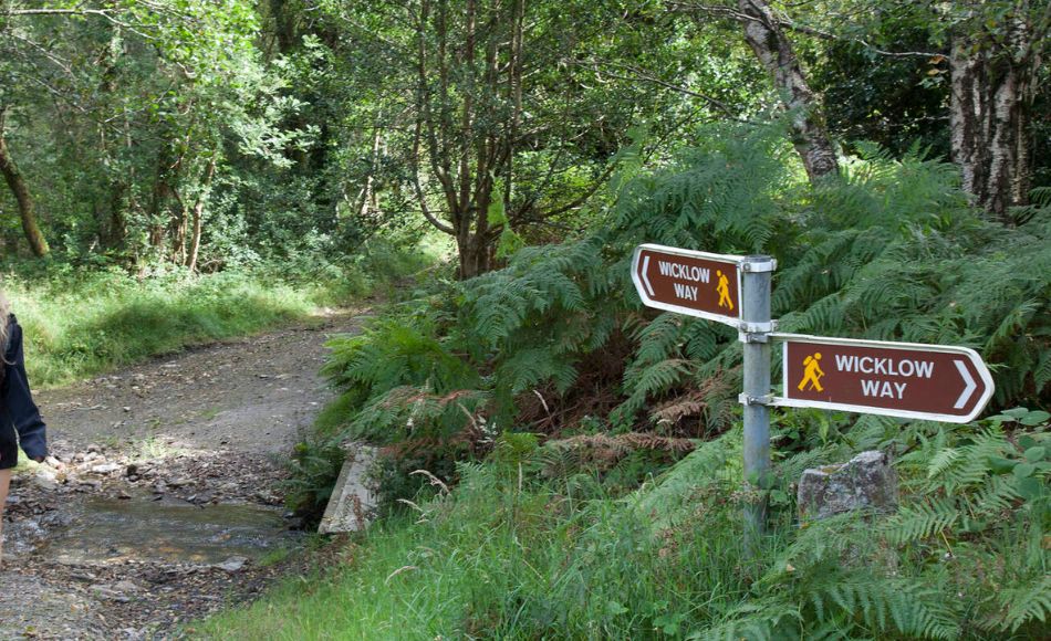 Wicklow Way trail Dublin hikes