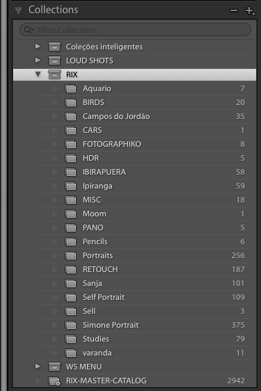 biblioteca lightroom