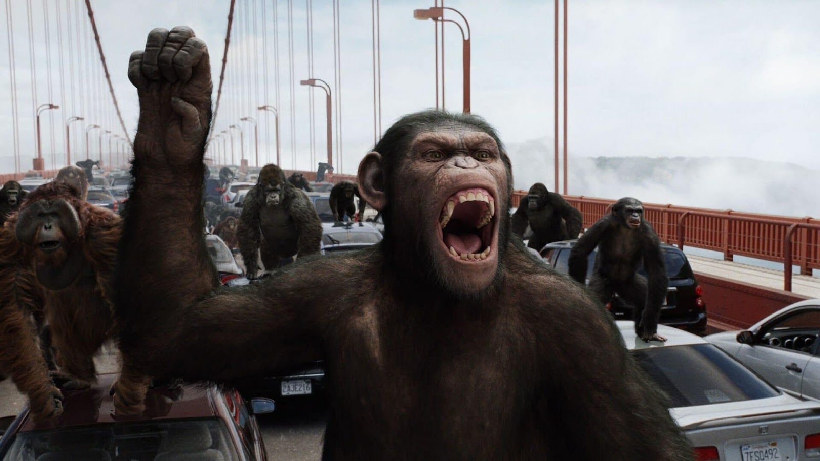 รีวิวหนัง Rise of the Planet of the Apes 4