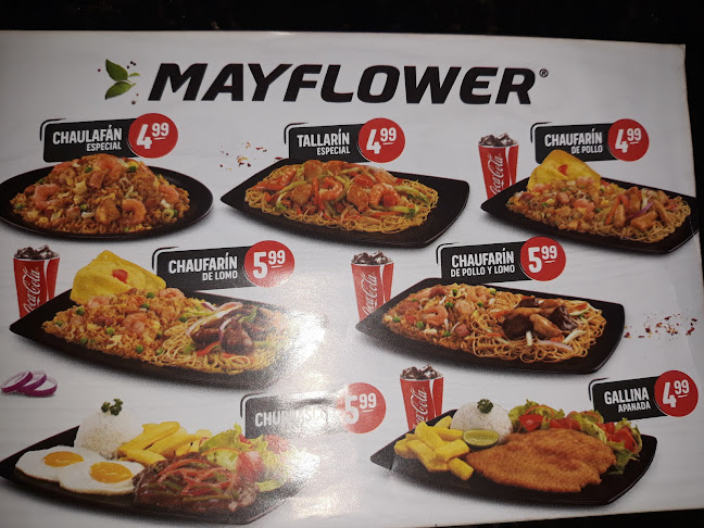 Mayflower - Restaurante