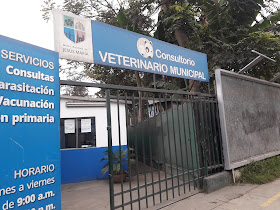 Consultorio Veterinario Municipal