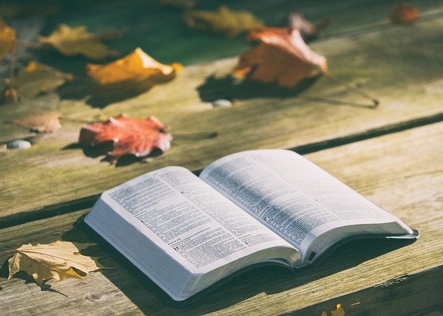 Open Bible on a table with autumn dry leaves spread out around it