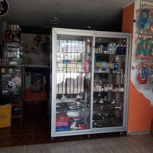Mz A 19 Lt 11 Calle 20, Manuel Arévalo III Esperanza, Trujillo 13013, Perú