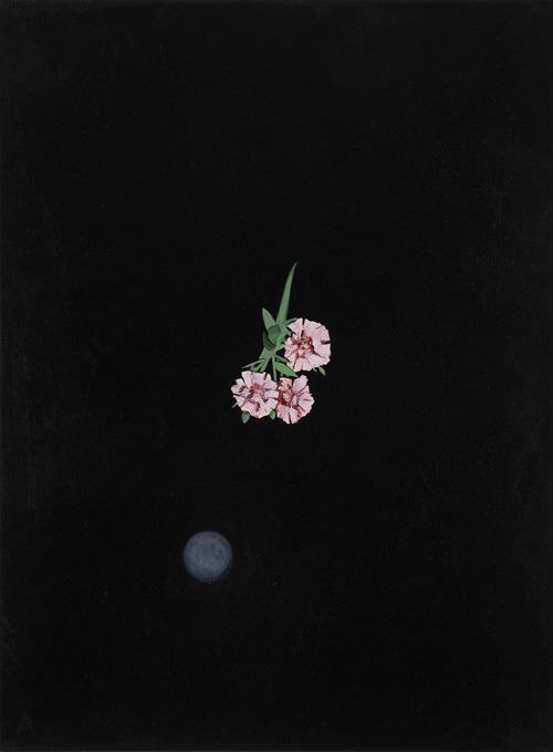 Flowers in the sky (12th attempt), 2007