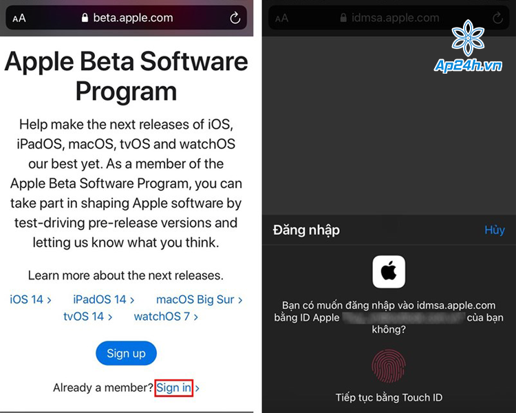 cập nhật iOS 14.3 beta 2
