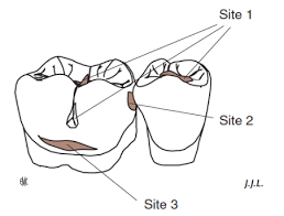 RÃ©sultat de recherche d'images pour "CLASSIFICATION SISTA"