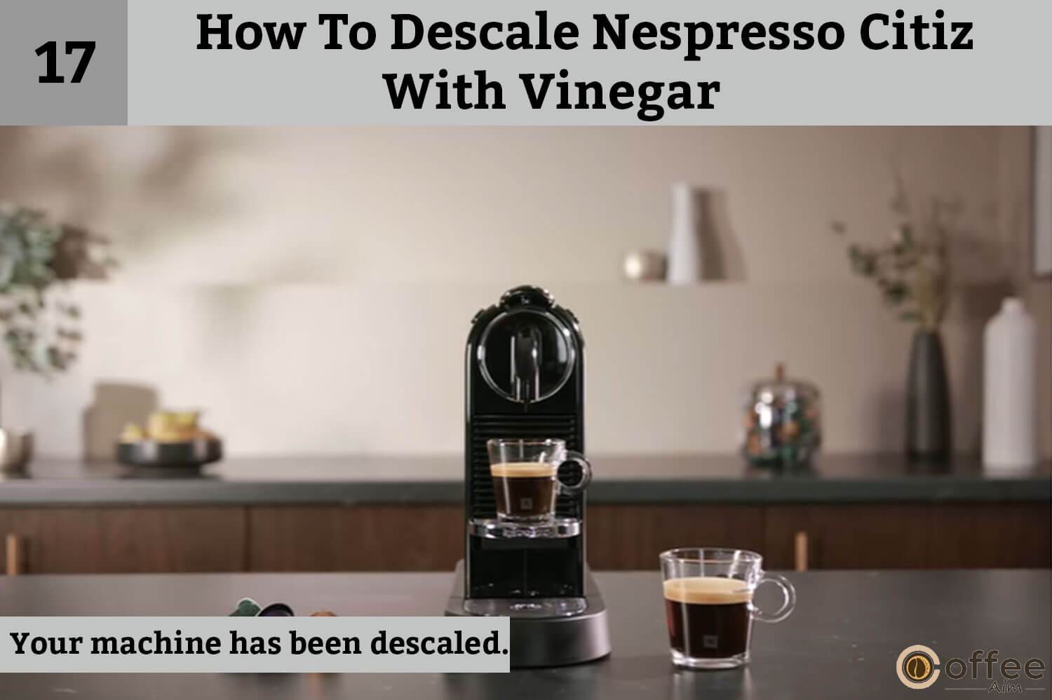 How To Descale Nespresso Citiz With Vinegar