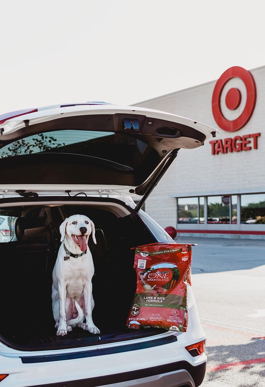 Thor Goes Dog Food Shopping with me at Target Coupon Promo Code Purina PurinaOne Purina One SmartBlend Dog Food Dog Adopted Adoption Lab Puppy Dalmatian Target 