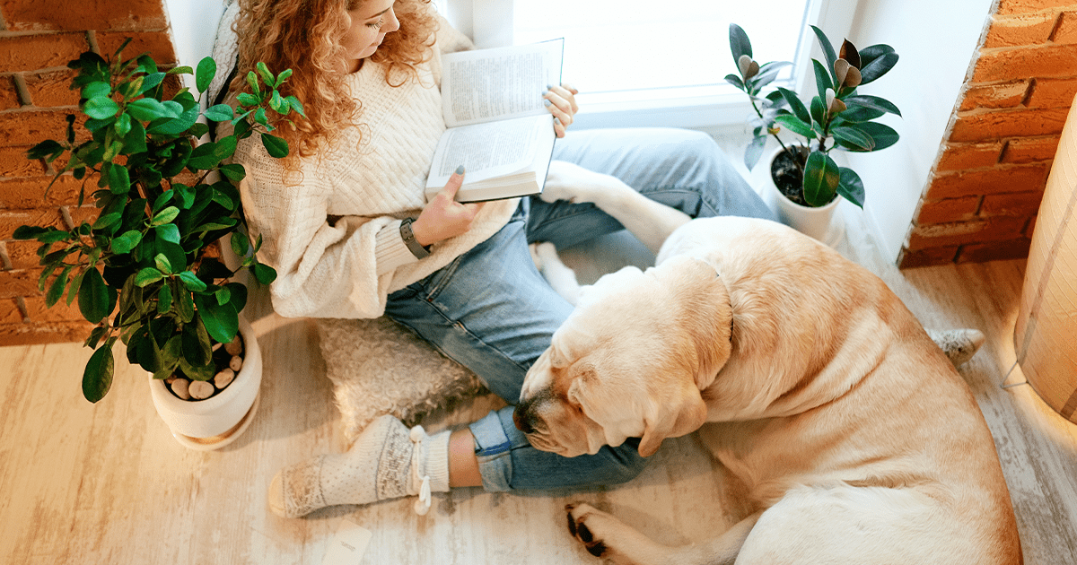 dog sat with owner reading book