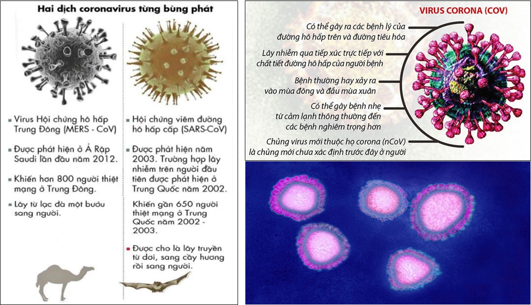 Hai đại dịch coronavirus từng bùng phát trên Thế Giới