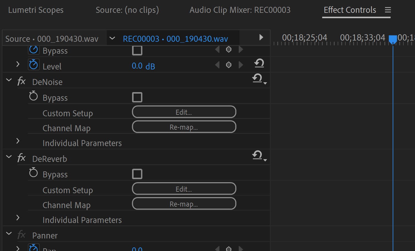 Premiere Pro Remove Background Noise - Select edit next to custom setup